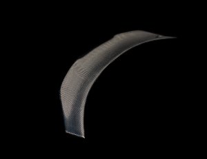 Alfa Romeo Giulia Trunk Spoiler - Carbon Fiber - Duckbill Style - Feroce Carbon 